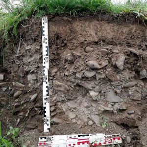 Auch in Tiefen von mehr als 50 Zentimetern fanden sich noch Kunststoffteilchen im Boden.(Bild:  Collin Weber)