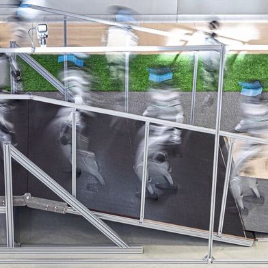 Teil des Benchmark-Tests: Durch Bewegungen mit verschiedenen Laufwegen auf einer Rampe wird die Fähigkeit zur Selbststabilisierung untersucht. (Bild: Fraunhofer IPA/ Rainer Bez)