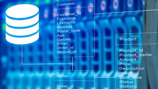 Die Entitäten einer Objektdatenbank lassen sich inklusive ihrer Attribute, Methoden, Beziehungen zu anderen Objekten und Informationen über Vererbung speichern. (Bild: canjoena - stock.adobe.com)