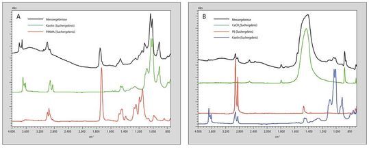 Abb. 5: Infrarotmikroskop-Spektren und dazugehörige Datenbanktreffer der Mikroplastikproben aus A dem Polardorsch und B dem Tiefseeflohkrebs. (Bild:  Shimadzu Deutschland)