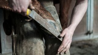 Es gibt Lebensbereiche, da ist Handwerk unersetzlich; die IT gehört nicht dazu.  (Bild: Free-Photos auf Pixabay)