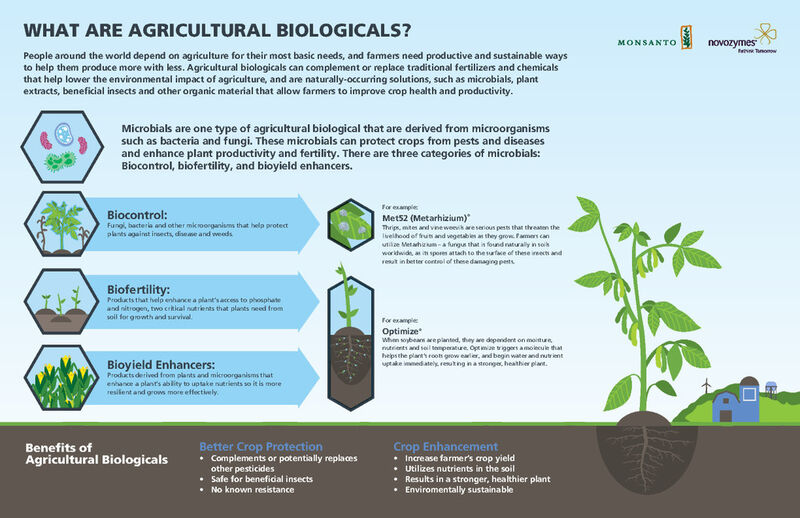 WHAT ARE AGRICULTURAL BIOLOGICALSγ (Picture: Monsanto/Novozymes)