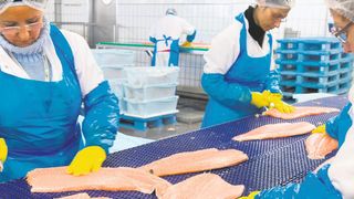 Um die einzelnen Supply-Chain-Prozesse zuverlässig nachvollziehen zu können, ist eine detaillierte und lückenlose Dokumentation notwendig.  (Deutsche See)