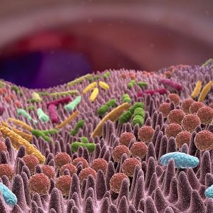 Abb. 1: Illustration von Darmepithelzellen mit wechselwirkenden Mikroorganismen des Mikrobioms.