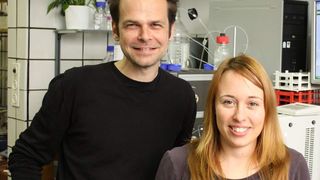 Ronald Micura und Andrea Haller vom Institut für Organische Chemie und dem Centrum für Molekulare Biowissenschaften der Universität Innsbruck.  (Bild: Thomas Müller)