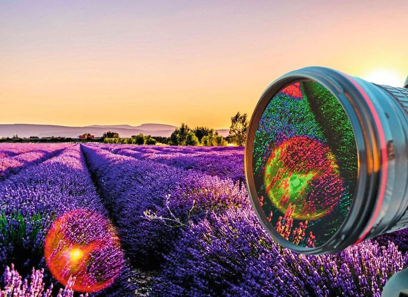 Darstellung von Spektralaufnahme im Feld.(Bild:  Fraunhofer-IPMS)