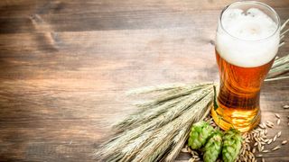 0108319486 (Bild: Artem Shadrin - stock.adobe.com)