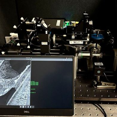 Lichtblattmikroskop mit neu entwickelter Plattform beim Scan einer Hörschnecke (Bild: Mostafa Aakhte)