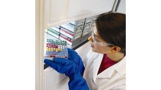 1 Zur Lagerung von empfindlichen oder wertvollen Laborproben gehören Tiefkühlschränke zur Standardausrüstung im Labor. (Bilder: Thermo Fisher Scientific) (Archiv: Vogel Business Media)