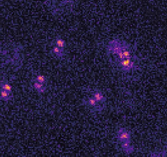 So sieht eine Aufnahme in der Praxis aus: Die verschiedenen Drehrichtungen der rötlich-lilafarbenen „Hanteln“ belegen, dass die Atome in unterschiedlichen Ebenen liegen. (Bild:  IAP/Uni Bonn)