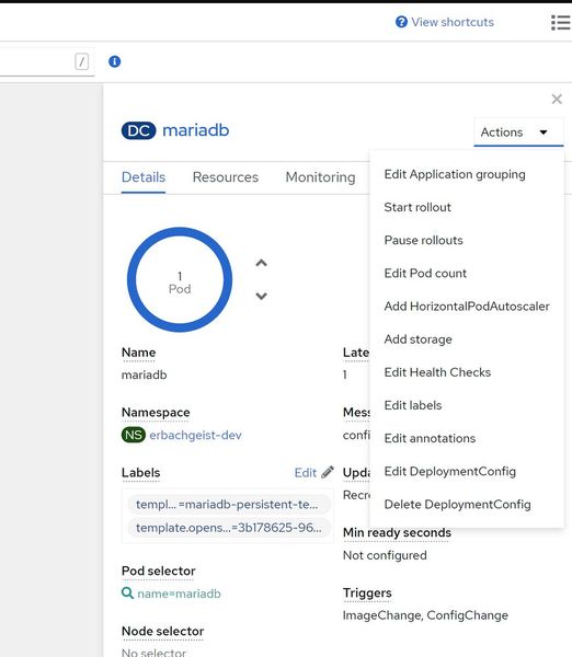 Verwalten der Ressourcen einer Topologie in OpenShift. (Bild: Joos / Red Hat)