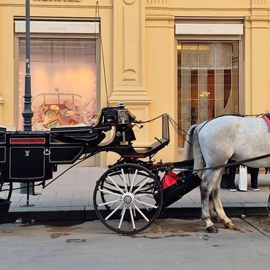 Während Touristen die österreichische Hauptstadt mit zwei PS erkunden, wurde Ende April 2026 im Rahmen des 47. Wiener Motorensymposiums in der Hofburg der Antrieb von morgen diskutiert.  (Bild: Stefanie Eckardt)