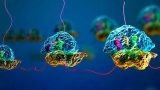 Alice is a unique eukaryotic system, which yields an unprecedented 3 mg/ml of protein in batch mode. (AMS Biotechnology)