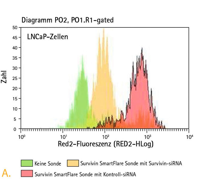 Abb. 3A: Der Survivin-Gen-Knockdown in LNCaP- und SCC12-Zellen war durch Messung der relativen Smartflare-Signale unterscheidbar. Histogramm der Smartflare-Signale, die der Survivin-Expression in LNCaP-Zellen (A) ... (Bild: Merck Millipore)