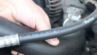 56732209 (Bild: gemeinfrei)