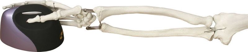 Die vertikale Position der Hand mit der VerticalMouse von Evoluent verhindert ein Verdrehen des Unterarmes und beugt so Verspannungen und dem so genannten Maus-Arm vor. (Archiv: Vogel Business Media)