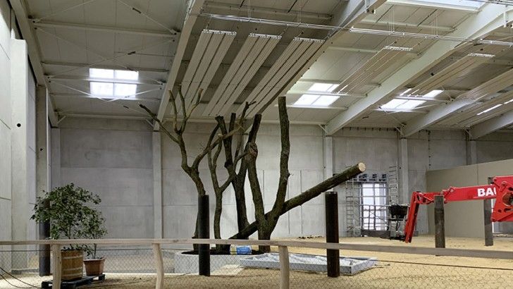 (Bild: Tierpark Cottbus)