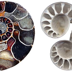 (Bild: © RUBIN, René Hoffmann)