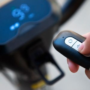 Die Fernbdienung enthält eine Wegfahrsperre.(Bild:  Govecs)