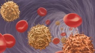 Das MACSxpress Treg Isolation Kit, human von Miltenyi Biotec ermöglicht die Isolierung von regulatorischen T-Zellen aus maximal 30 ml frischem, antikoaguliertem Vollblut. (Miltenyi Biotec)