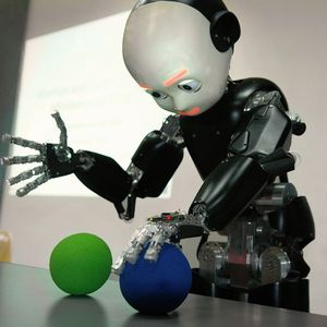 (Italian Institute of Technology, IIT)