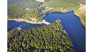 Die Rappbodetalsperre im Harz ist von Wäldern umgeben und die größte Trinkwassertalsperre Deutschlands. (Bild: André Künzelmann/UFZ)