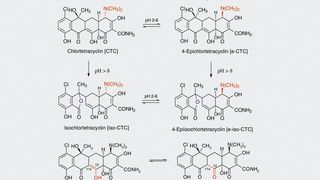 Abb.1: Strukturen und Symbole relevanter Umwandlungs- und Abbauprodukte
des Chlortetracyclins. (Archiv: Vogel Business Media)