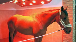 0108978068 (Bild: art24pro - stock.adobe.com)