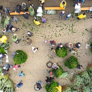 Am 9. Dezember war es bei Häusler wieder so weit: An die Bäume, fertig, los.(Bild:  Häusler Automobile)