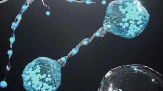 Simulationen von Jülicher Forschern könnten bei der Entwicklung synthetischer Zellen helfen (künstlerische Darstellung). (Bild: Forschungszentrum Jülich und ETH Zürich)