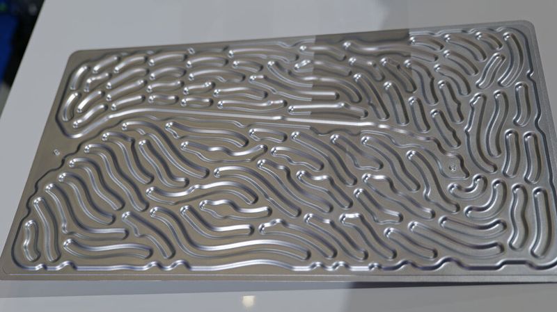 Für die neue bionische Batteriekühlplatte haben sich die Mahle-Entwickler Ideen bei Korallen und Flussmündungen geholt. (Bild: Schmidt – VCG)