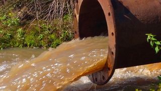 Seit Jahrzehnten fragt man sich, was man mit all dem Schmuddelwasser machen kann, das die moderne Gesellschaft hinterlässt. Kluge Köpfe aus Mannheim machen daraus nun einfach E-Methanol! Ist das der neue Kurs in eine klimafreundlichere Schifffahrt? ... (Bild: Klimaguide)