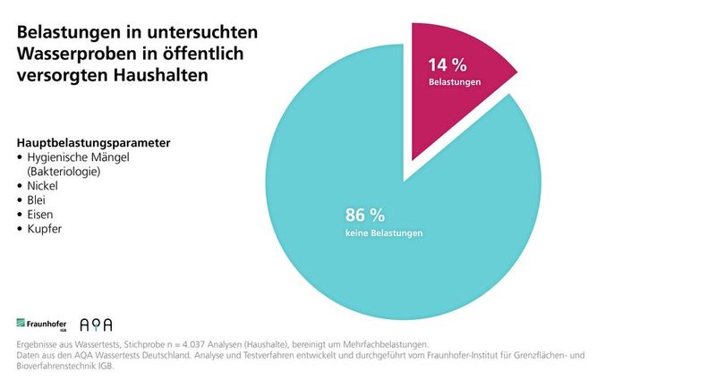 Belastungen in untersuchten Wasserproben in öffentlich versorgten Haushalten (Bild: Fraunhofer IGB, AQA GmbH)