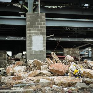 (Lee-Huang Chen/Squishy Robotics)