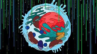 UC San Diego researchers introduce Multi-Scale Integrated Cell (Music), a technique that combines microscopy, biochemistry and artificial intelligence, revealing previously unknown cell components that may provide new clues to human development and disease. (Source: UC San Diego)