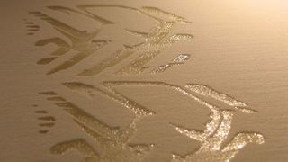 Thermoplastisches Polyurethan (TPU)-Pulver für das selektive Lasersintern (Bild: Bayer MaterialScience)