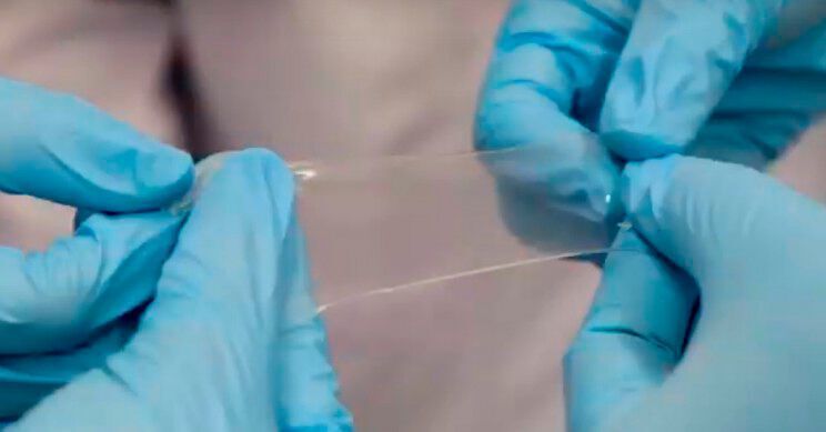 Ein Rekord für eine elektronische Haut: An der National University of Singapore wurde ein Sensorsystem entwickelt, das schneller als der menschliche Tastsinn reagiert. (NUS National University of Singapore)