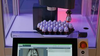 Demonstrator auf der SPS IPC Drives 2017: Scara-Roboter (programmiert in G-Code) greift Eier aus einem Magazin auf einer Linearachse (Motion Control) und transportiert sie zur Inspektion beziehungsweise CNC-Bearbeitung. (Eckelmann)