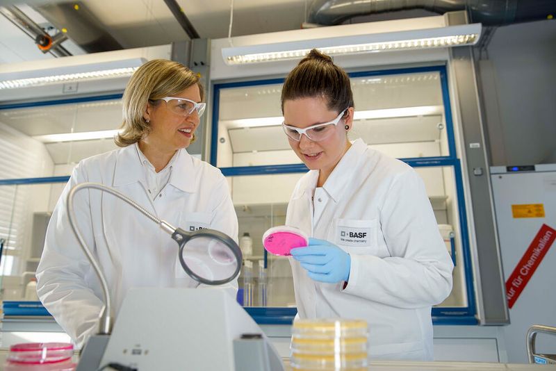 Im Forschungs- und Entwicklungszentrum für biologischen Pflanzenschutz in Limburgerhof stehen lebende Organismen wie beispielsweise Bakterien, Pilze oder nützliche Insekten im Mittelpunkt. Ihre Eigenschaften werden in Hinblick darauf untersucht, ob sie zum Schutz von Pflanzen eingesetzt werden können.  (Bild: BASF SE)