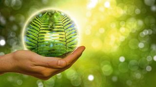 Nachhaltigkeit: Unternehmen, die ihre digitale Nachhaltigkeit vorantreiben, haben mehr Sichtbarkeit und sind effizienter. (Bild: Geralt / frei lizenziert)