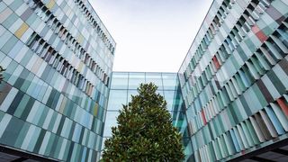 Xinjiang Xuefeng, the group Xinji belongs to, is already the largest melamine producer in the world. (Source: Eurotecnica)