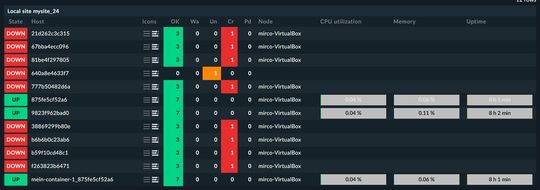 Abbildung 4: Alle Docker-Container in der Übersicht.(Bild:  Lang | Checkmk)