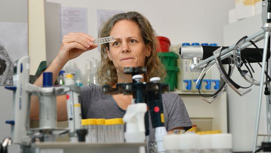 Klare Sicht aufs Wesentliche: Tina Bürki vom Empa-Labor «Particles-Biology Interactions» in St. Gallen sieht im Plazenta-Embryo-Chip die Zukunft für Tests zur Entwicklungstoxizität. Klare Sicht aufs Wesentliche: Tina Bürki vom Empa-Labor «Particles-Biology Interactions» in St. Gallen sieht im Plazenta-Embryo-Chip die Zukunft für Tests zur Entwicklungstoxizität.