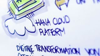 S/4HANA sorgt bei den DSAG-Mitgliedern für gemischte Gefühle. (Bild: DSAG)