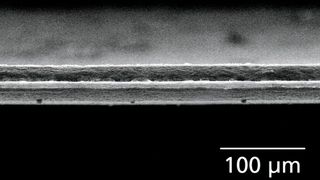 REM-Bild der Schnittflanke einer per Laser geschnittenen Lithium-Metall-Anode. Der Laserprozess erzeugt eine gleichmäßige, nahezu gratfreie Kante mit minimaler Wärmeeinflusszone und ohne mechanische Verformung des reaktiven Metalls. (Bild: Fraunhofer ILT)