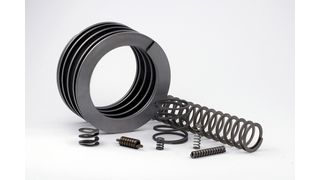  (Bild: Dr. Werner Röhrs)