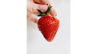 For millennia, humans have been finding ways to preserve food. Can we use what we’ve learned to make a strawberry last forever? (Public Domain)