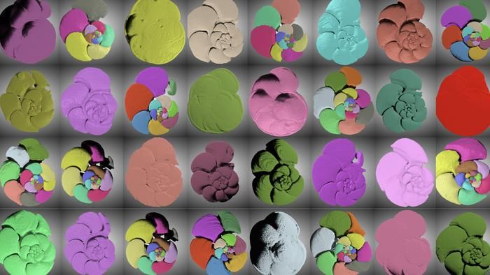  Pop-Art der Fossilien Seit Millionen von Jahren existiert Plankton, und seine Vertreter gehören zu den ältesten Lebewesen der Erde. Wissenschaftler erforschen daher, wie sich diese Organismen täglich an wechselnde Umweltbedingungen anpassen. Sie wollen verstehen, in welchem Maße der evolutionäre Weg einer Spezies auf 