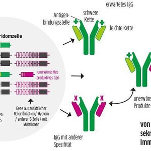 (Quelle: Dübel / TU Braunschweig; Grafik: LABORPRAXIS)