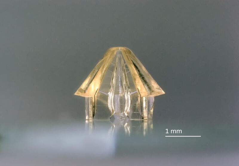Nanoscribe präsentierte in Frankfurt sein weiterentwickeltes 3D-Mikro-Druck-Verfahren. Mit den neuen Photonic Professional 3D-Druckern können nun größere Strukturen im Millimeterbereich schnell und mit höchster Präzision in Mikrometergenauigkeit hergestellt werden.  (Nanoscribe)